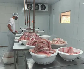 Imagem ilustrativa da imagem Doença nos EUA pode elevar demanda por carne do Brasil