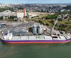 Imagem ilustrativa da imagem Importações puxam recorde nos portos de Vitória e Vila Velha, com 458 mil toneladas