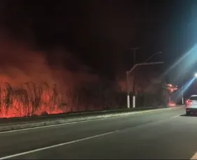 Imagem ilustrativa da imagem Incêndio atinge área de mata na Praia da Baleia na Serra