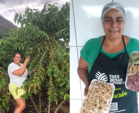 Imagem ilustrativa da imagem No ES, mulheres ganham espaço no agronegócio e investem para crescer
