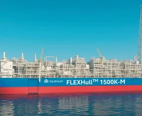 Imagem ilustrativa da imagem Novo projeto pode atrair mais navios para Aracruz