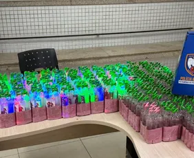 Imagem ilustrativa da imagem Polícia apreende 712 frascos de lança-perfume em Cariacica