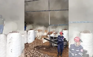 Imagem ilustrativa da imagem Bombeiros combatem incêndio em madeireira de Santa Teresa