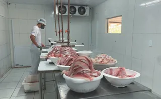 Imagem ilustrativa da imagem Doença nos EUA pode elevar demanda por carne do Brasil