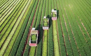 Imagem ilustrativa da imagem Novo programa da TV Tribuna/Band, Tribuna Agro estreia dia 07 de junho