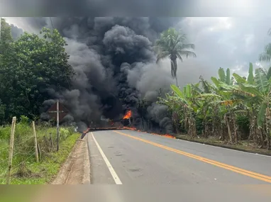Patarela é uma faixa sinalizada com pegadas de animais, criada para alertar motoristas sobre áreas de circulação de animais domésticos e silvestres