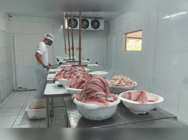 Imagem ilustrativa da imagem Doença nos EUA pode elevar demanda por carne do Brasil