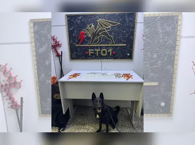 Em depoimento para a polícia, a vítima relatou que o homem de 36 anos a ofendeu com palavras de baixo calão e afirmou que iria praticar relações sexuais não consentidas com ela. O homem foi detido na tarde de quarta-feira (22).