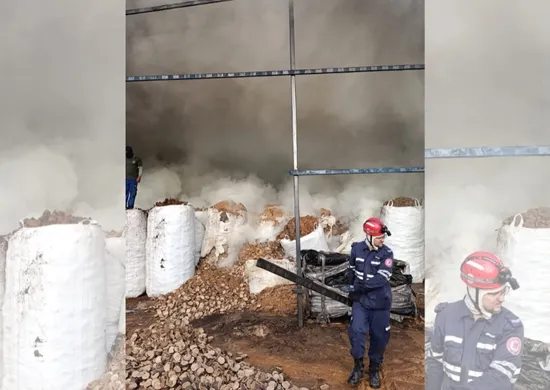Imagem ilustrativa da imagem Bombeiros combatem incêndio em madeireira de Santa Teresa