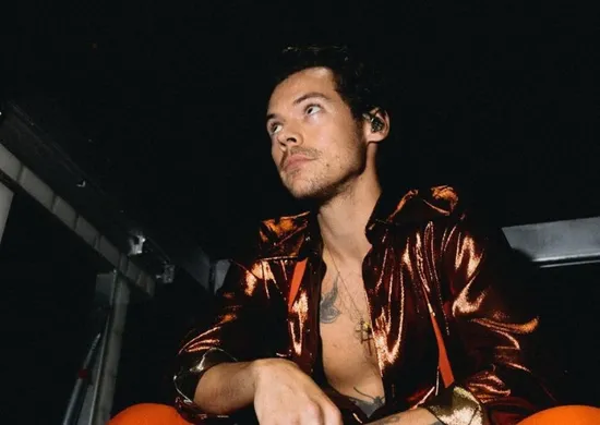 Imagem ilustrativa da imagem Show de Harry Styles desta terça-feira é cancelado em São Paulo
