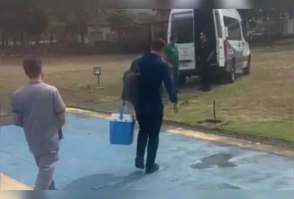 Órgãos sendo transportados