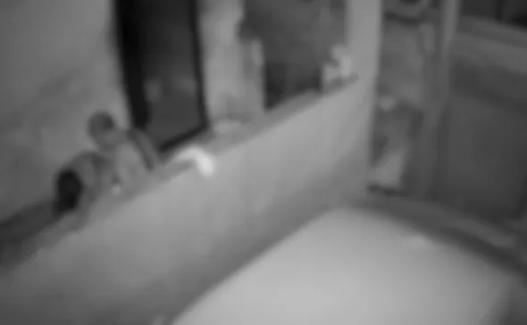 Imagem ilustrativa da imagem VÍDEO | Três crianças são resgatadas após mãe ser agredida no rosto por companheiro