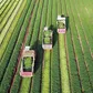 Novo programa da TV Tribuna/Band, Tribuna Agro estreia dia 07 de junho
