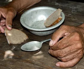 Imagem ilustrativa da imagem Brasil vai começar a rastrear diabetes tipo 5, associado a quadro de desnutrição