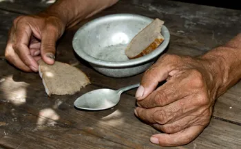 Imagem ilustrativa da imagem Brasil vai começar a rastrear diabetes tipo 5, associado a quadro de desnutrição