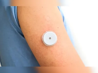 Febre do Nilo Ocidental é transmitida pela picada do pernilongo comum