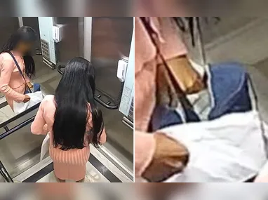 Imagem ilustrativa da imagem Ex-funcionária acessa condomínio e rouba R$ 60 mil em Jardim Camburi