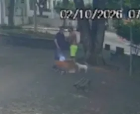 Imagem ilustrativa da imagem Avô leva socos e bebê de 1 ano cai no chão durante agressão em Vitória