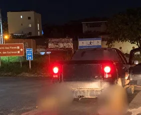 Imagem ilustrativa da imagem Cachorros morrem após serem amarrados e arrastados por carro em Iúna