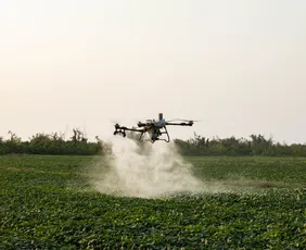 Imagem ilustrativa da imagem Drones agrícolas movimentam bilhões e criam nova profissão no campo