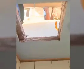 Imagem ilustrativa da imagem Suspeito de liderar tráfico tenta fugir pelo teto, mas é preso em Vitória