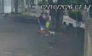 Imagem ilustrativa da imagem Avô leva socos e bebê de 1 ano cai no chão durante agressão em Vitória