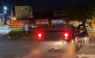 Imagem ilustrativa da imagem Cachorros morrem após serem amarrados e arrastados por carro em Iúna