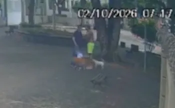 Imagem ilustrativa da imagem Avô leva socos e bebê de 1 ano cai no chão durante agressão em Vitória