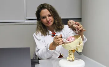 Imagem ilustrativa da imagem EUA aprovam remédio contra Parkinson que age de jeito inédito no cérebro