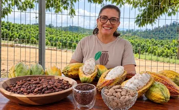 Imagem ilustrativa da imagem Produtora de Linhares cria chocolate light com cacau do próprio sítio