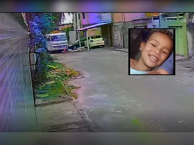 Gata foi encontrada morta em agosto, em Coqueiral de Itaparica; suspeita era de envenenamento