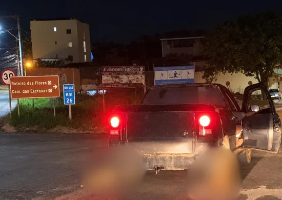 Imagem ilustrativa da imagem Cachorros morrem após serem amarrados e arrastados por carro em Iúna