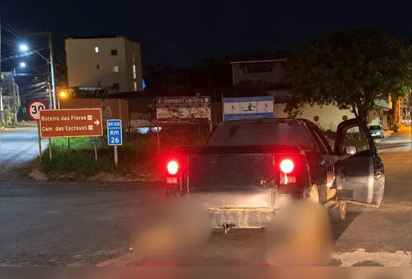 Imagem ilustrativa da imagem Cachorros morrem após serem amarrados e arrastados por carro em Iúna