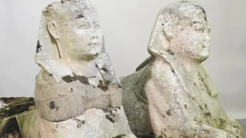 Imagem ilustrativa da imagem Família tinha relíquia no jardim de casa e não sabia
