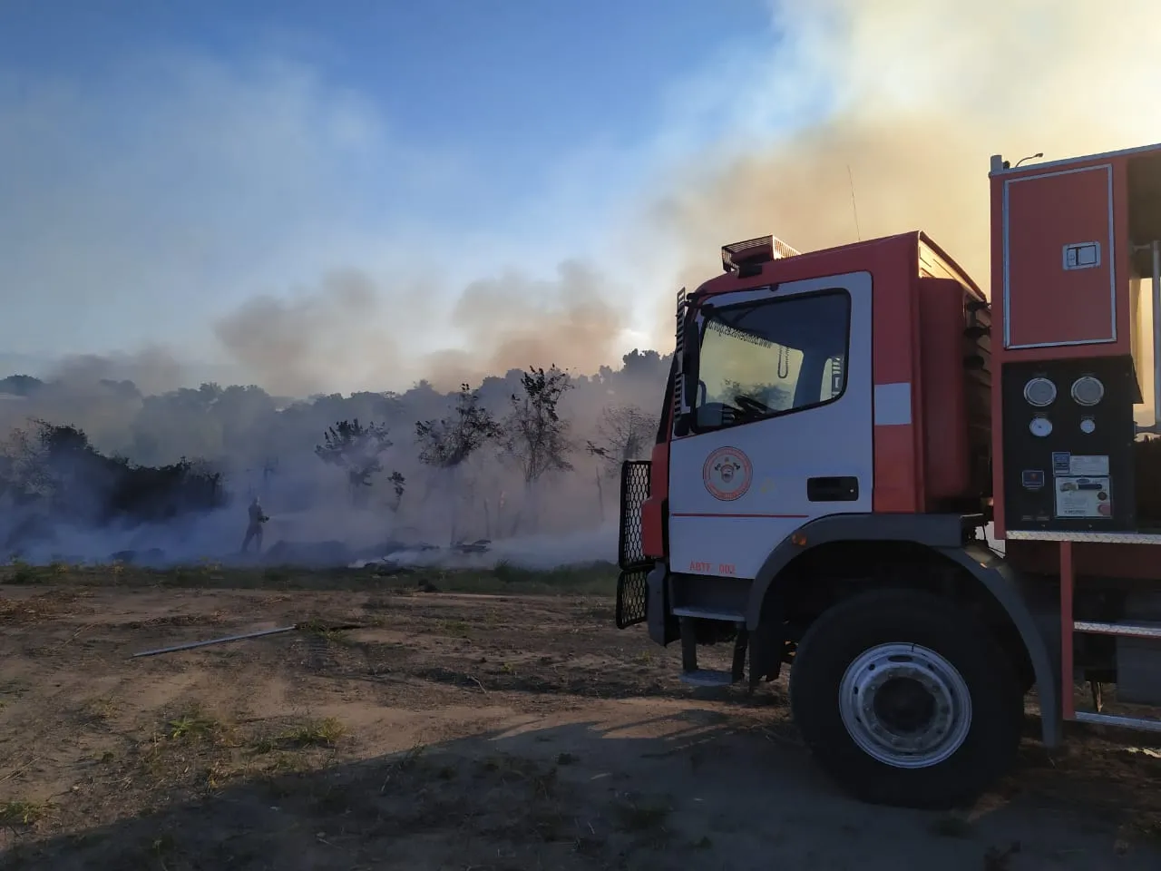 Imagem ilustrativa da imagem Incêndios ameaçam florestas no Estado
