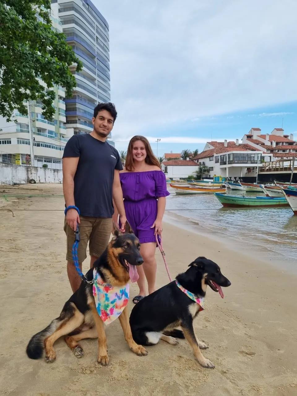 Imagem ilustrativa da imagem Projeto quer criar praia só para cães e gatos em Guarapari