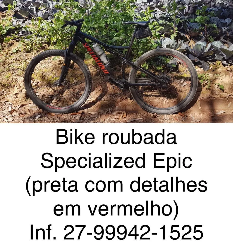 Imagem ilustrativa da imagem Assaltante invade casa e foge de bicicleta levando celular e televisão