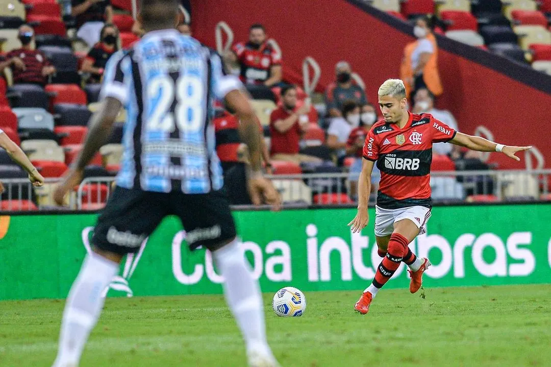Imagem ilustrativa da imagem Flamengo é denunciado por cantos homofóbicos da torcida em jogo contra o Grêmio