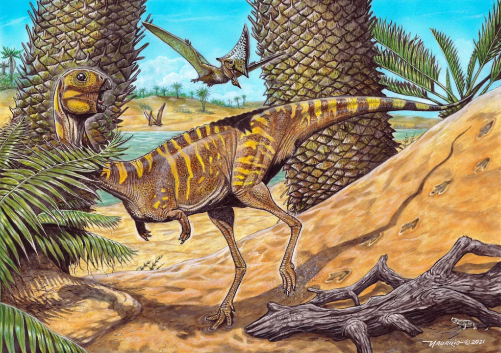 Imagem ilustrativa da imagem Nova espécie de dinossauro brasileiro é banguela e tem nome de 3 mulheres
