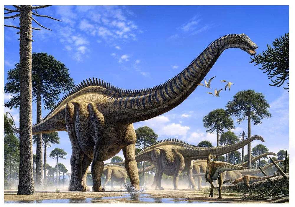 Imagem ilustrativa da imagem Maior dinossauro da história é mais comprido que 2 ônibus do Transcol