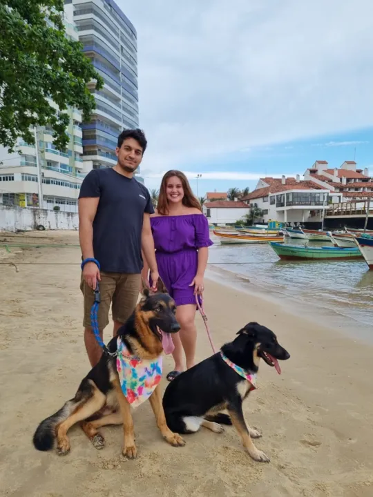Imagem ilustrativa da imagem Projeto quer criar praia só para cães e gatos em Guarapari