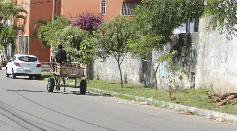 Imagem ilustrativa da imagem Veículos de tração animal são proibidas em ruas de Vila Velha