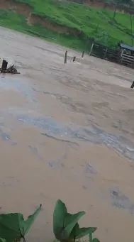 Imagem ilustrativa da imagem Temporal alaga comunidade na Região Serrana