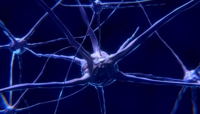 Imagem ilustrativa da imagem Neurônios podem ajudar no tratamento de câncer, aponta estudo
