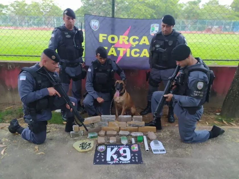 Imagem ilustrativa da imagem Cão farejador encontra drogas escondidas perto de campo de futebol