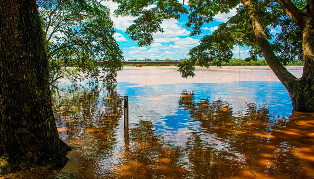 Imagem ilustrativa da imagem Rio Doce pode alcançar marca de 5,15 metros e inundar casas em Linhares