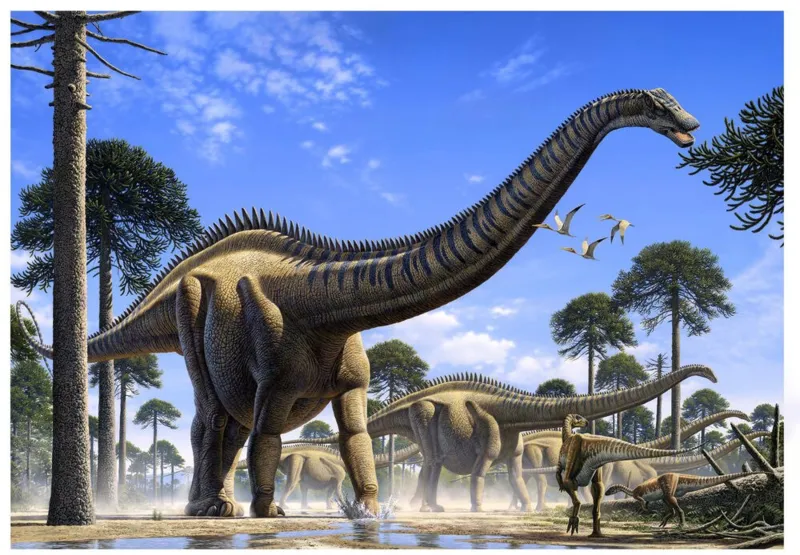 Supersaurus foi   batizado de Golias e pode pertencer ao mesmo grupo do Ultrassauro e o Distilossauro