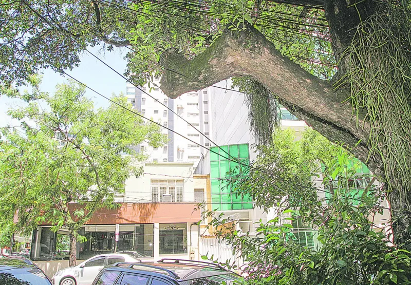 Cabos de rede de telefonia estão soltos em frente à portaria de um edifício na rua Joaquim Lyrio, na Praia do Canto.