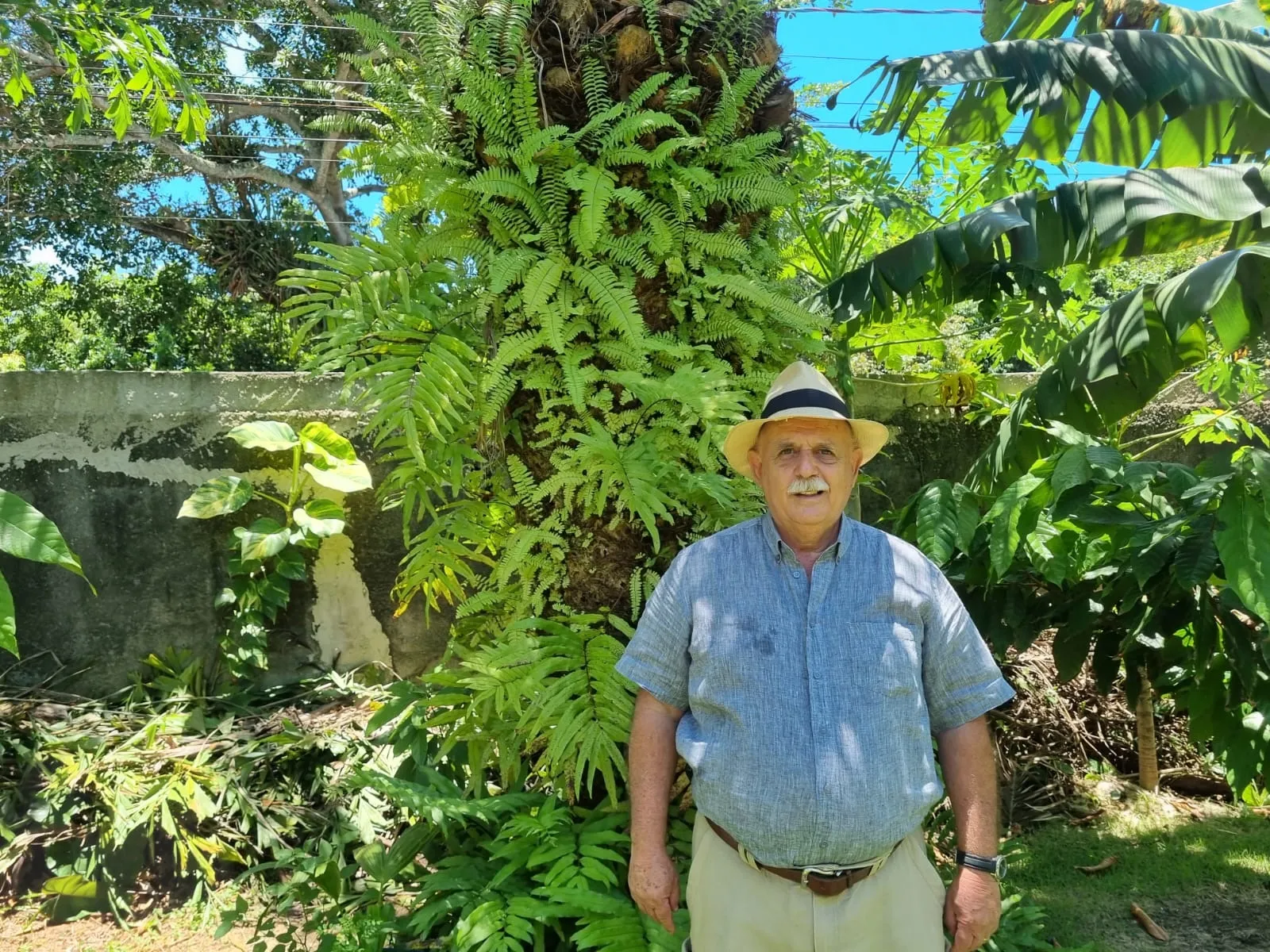 Imagem ilustrativa da imagem Minifloresta com plantas do mundo inteiro em Guarapari