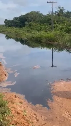 Imagem ilustrativa da imagem Vazamento de óleo atinge estrada que dá acesso a Regência, em Linhares